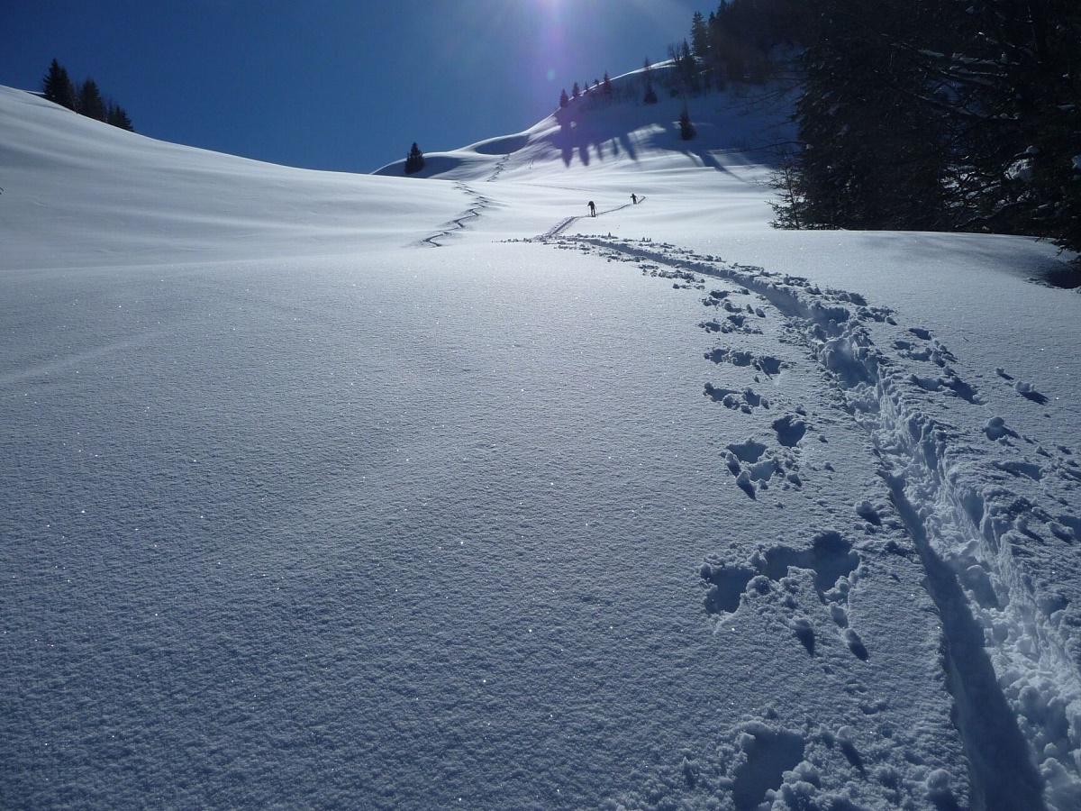 Tourenwanderung auf die Alm