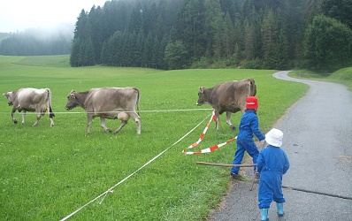 Kühe auf die Weide bringen - Haus Fischbacher Ebbs